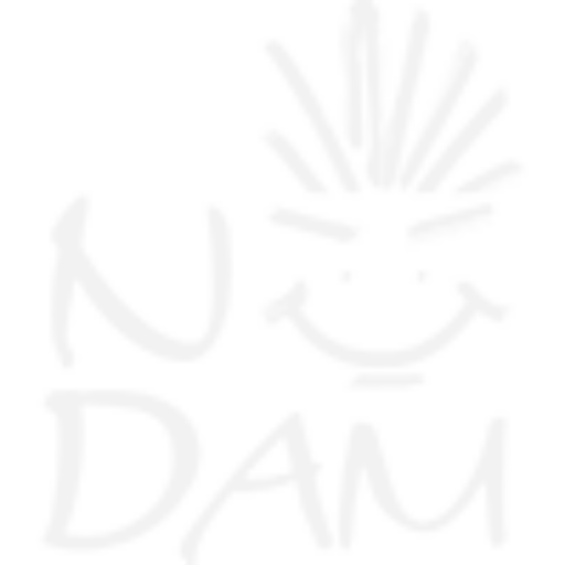 logo nodam