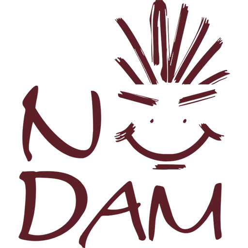 logo nodam