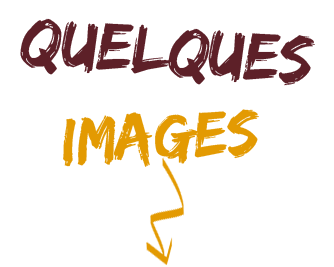 quelques images